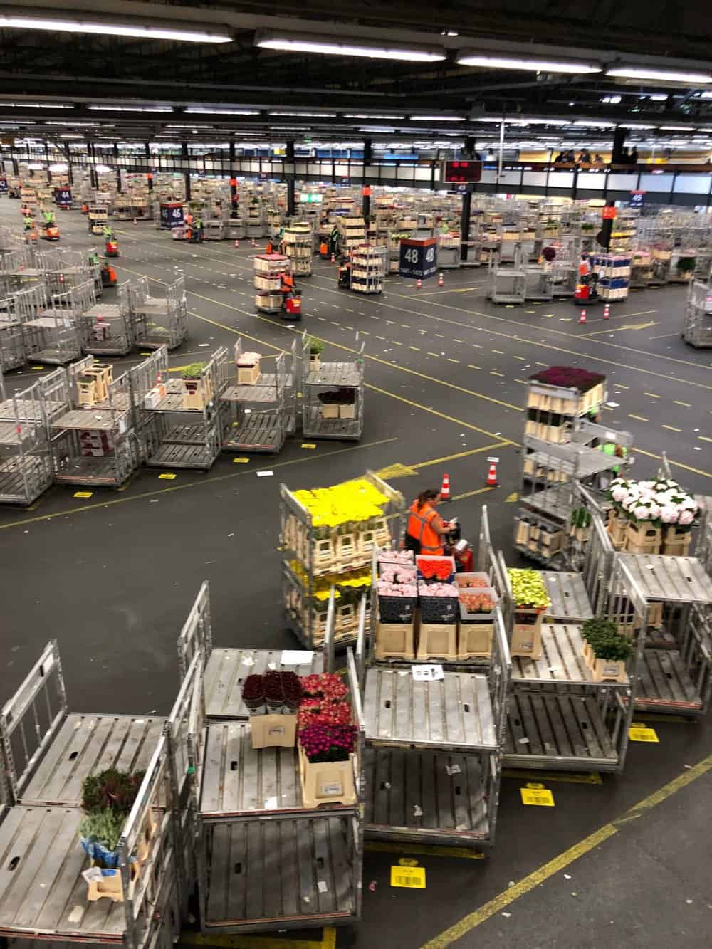  There are 250,000 trolleys in the market. The exchange makes 10 euros each day that a trolley is used by a buyer or seller  