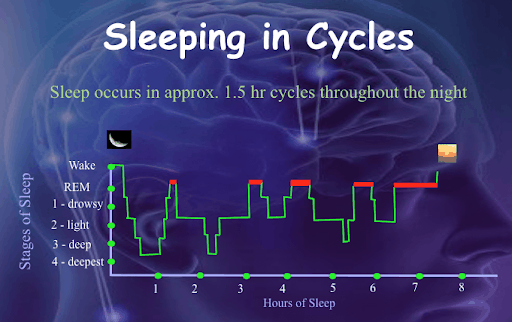 SOURCE: SLEEP SCIENCE CONSULTING