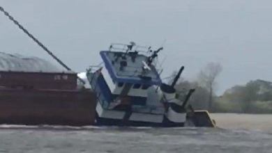 3_15_tugboat