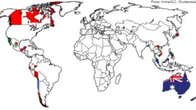 3_6_TPP