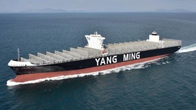 3_8_YangMing