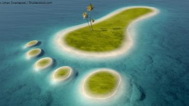 4_22_footprint