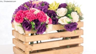 4_24_flowers
