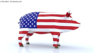 4_3_pork