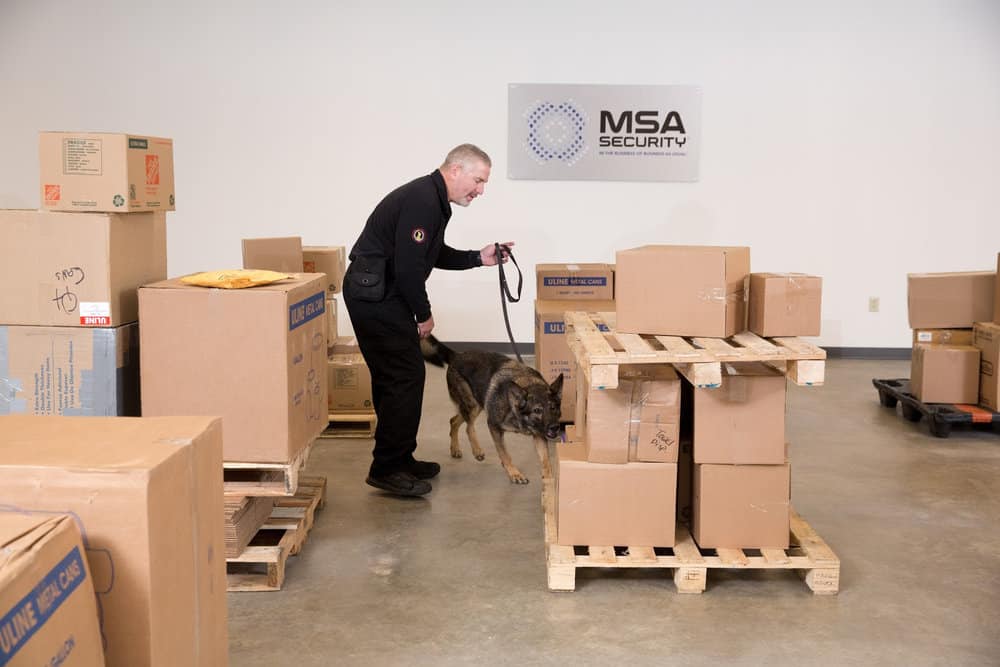  Handler training a dog for cargo screening. PHOTO COURTESY OF MSA Security 