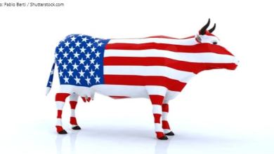 used_2018_11_28_cow
