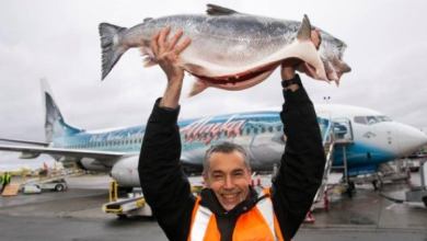 5_20_salmon