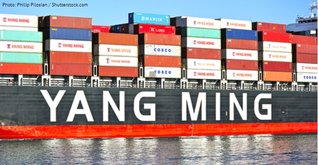 YangMing_used_7_5