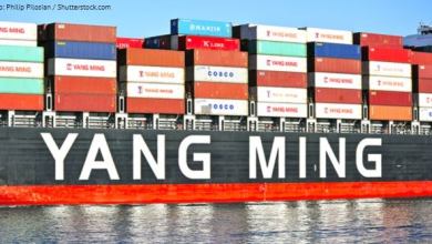 YangMing_used_7_5