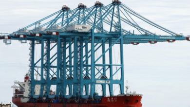 6_18_cranes2