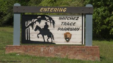 6_6_Natchez