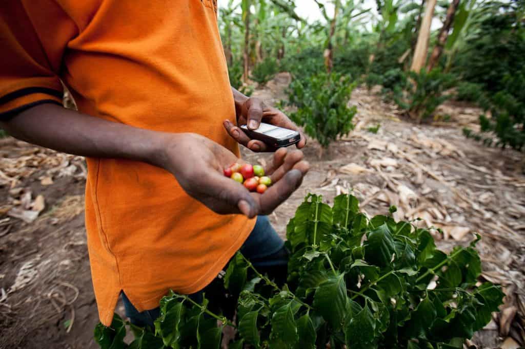 Coffee supply chains are now going the blockchain way (Photo: Microsoft/Starbucks)