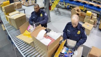 7_15_customs