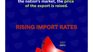 Infographic depicting the investigation of Mexican produce dumping.