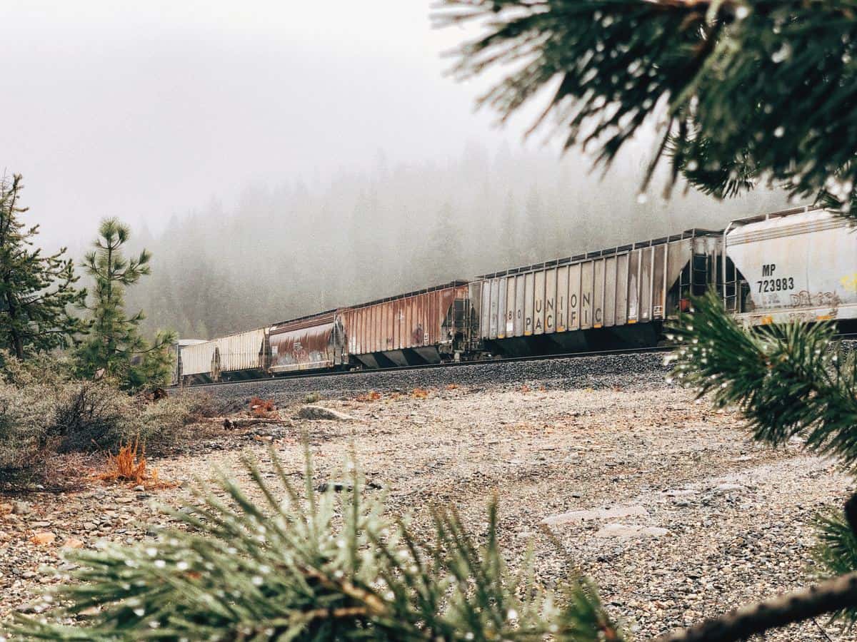 A photograph of railcars on some track. The railcars are passing through a forest with fog.