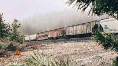 A photograph of railcars on some track. The railcars are passing through a forest with fog.