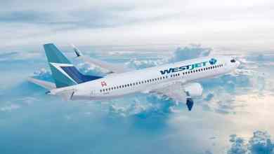 A jetliner flying high above the clouds