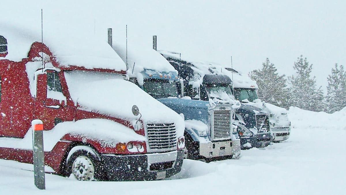 Trucks in a snowy California parking lot.