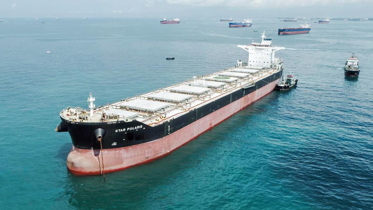 dry bulk carrier