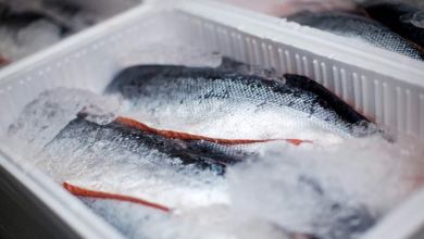 Fish on ice ready for transport