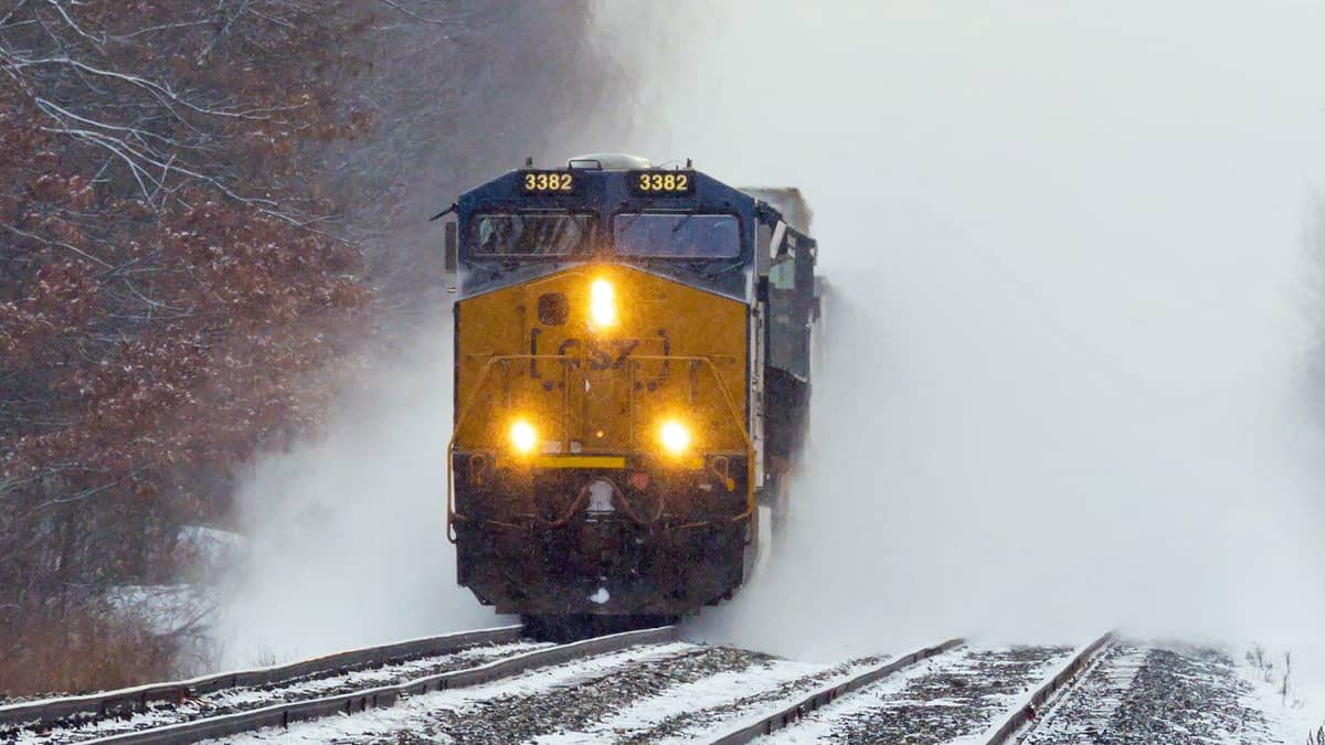 A photograph of a train coming out of the fog.