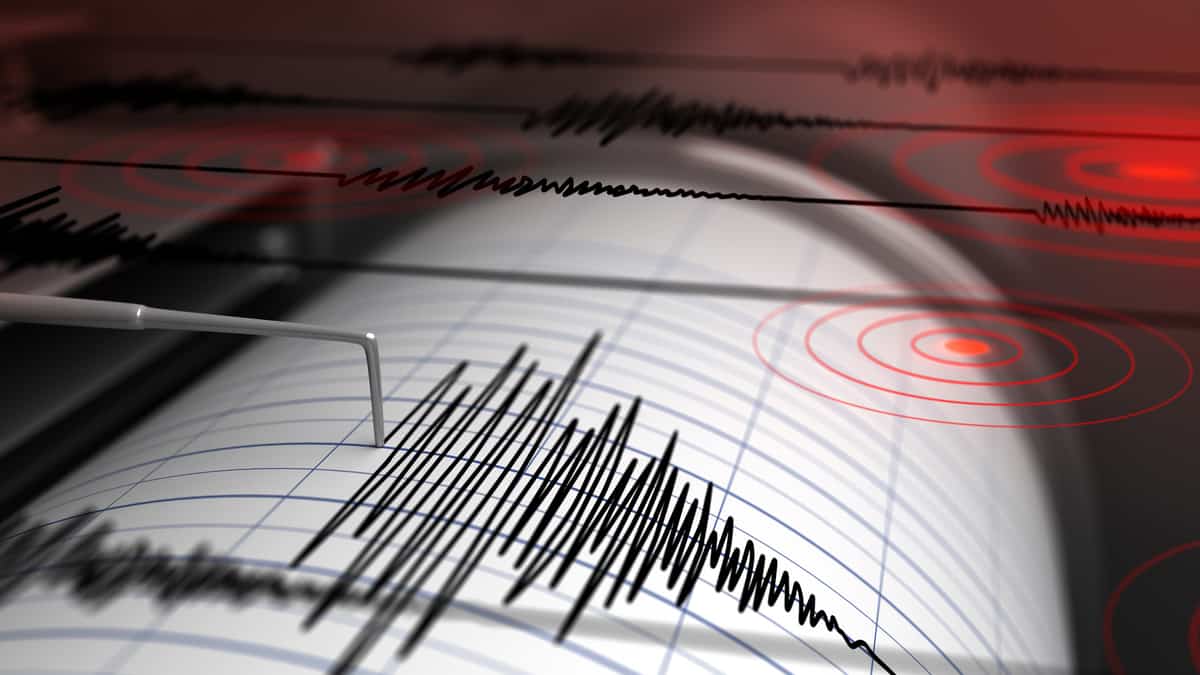 Seismograph image.