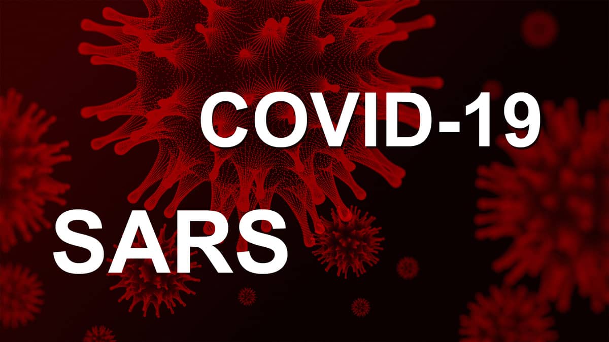 COVID-19/SARS image