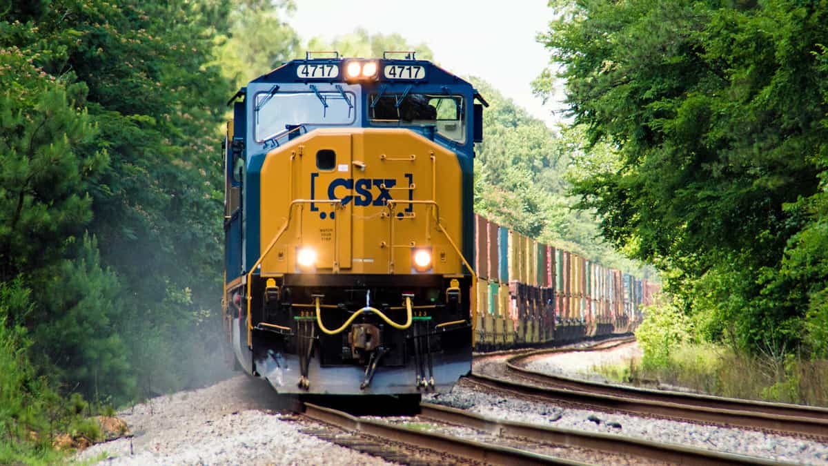 A photograph of a train traveling through a forest.