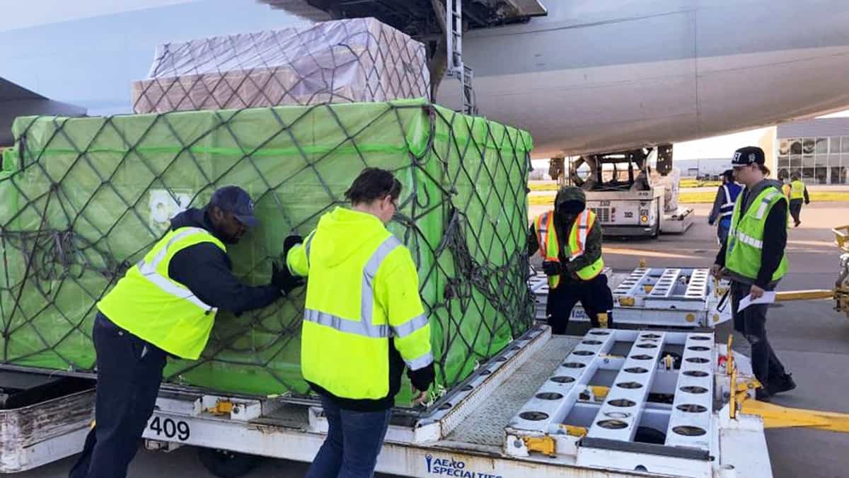 Ground handlers push pallet of cargo unloaded from cargo plane.