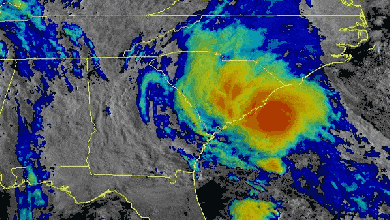 Satellite animation of Tropical Storm Bertha.