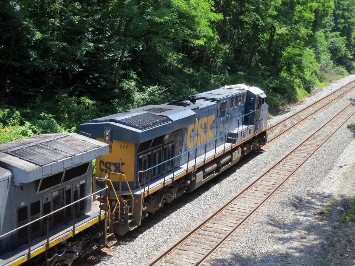 A photograph of a train locomotive traveling by a forest.