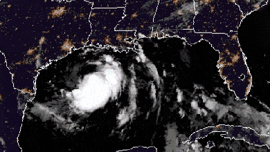 Satellite animation of Tropical Storm Hanna in the Gulf of Mexico.