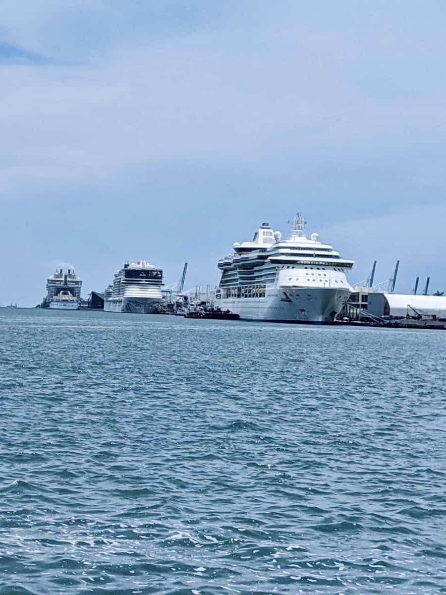 Cruise ships docked on July 7, 2020 at PortMiami.