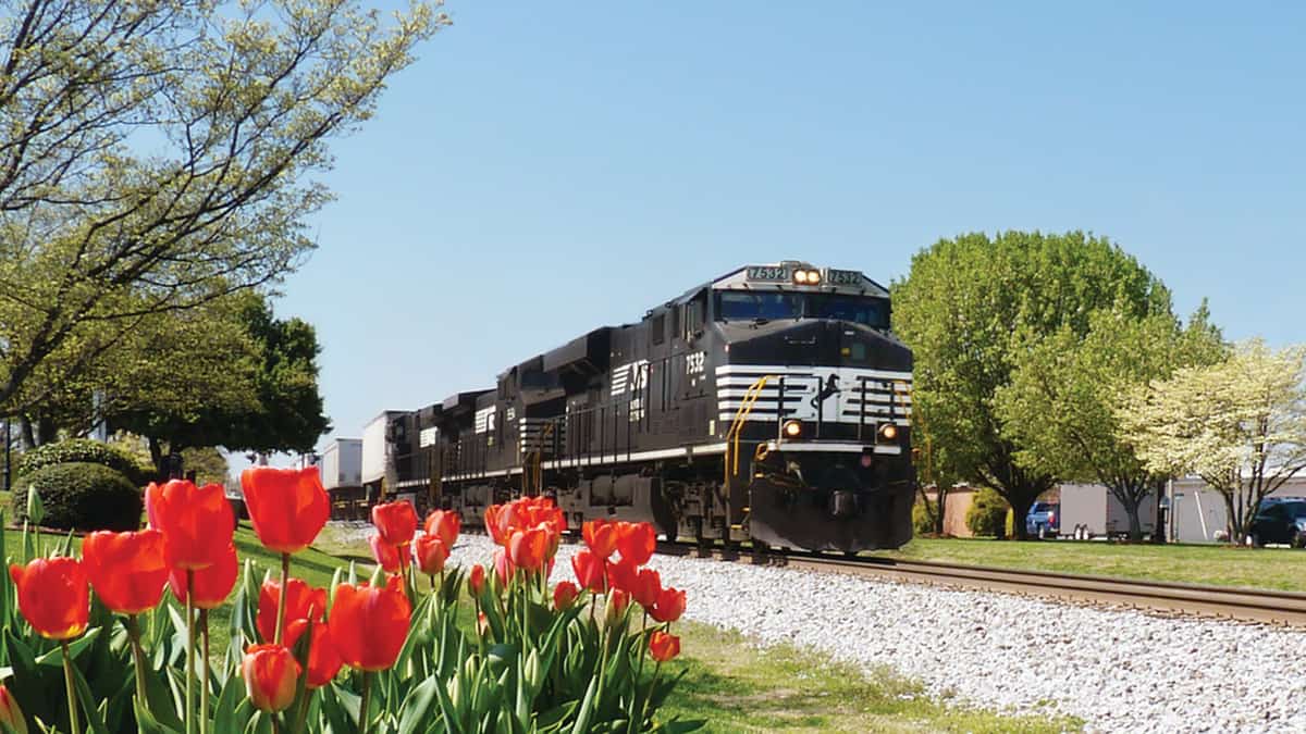 A photograph of a Norfolk Southern train on a train track. There are tulips next to the track.