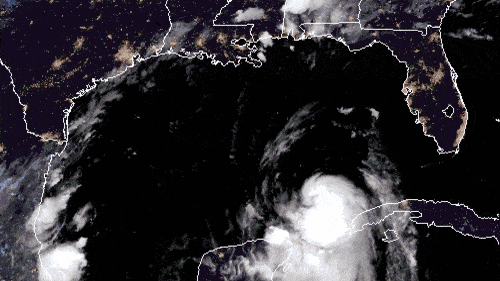 Satellite animation of Tropical Storm Laura in the Gulf of Mexico.