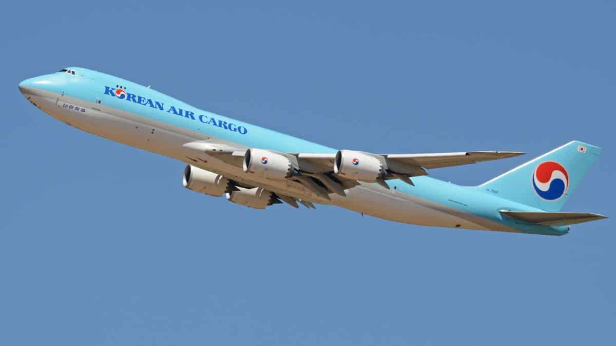 A pale blue Korean Air 747 cargo jet soars into a bright blue sky. Korean Air's cargo division helped the airline survive the coronavirus downturn.