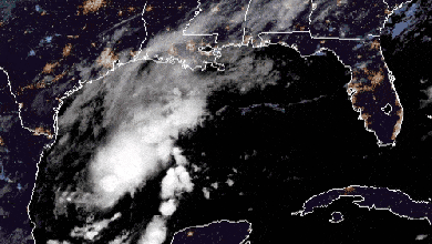 Satellite animation of Tropical Depression 22 in the Gulf of Mexico.