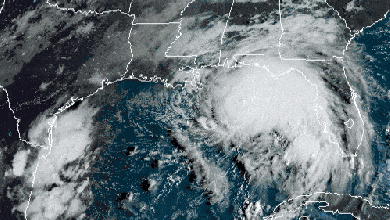 Satellite of Tropical Storm Sally in the Gulf of Mexico.