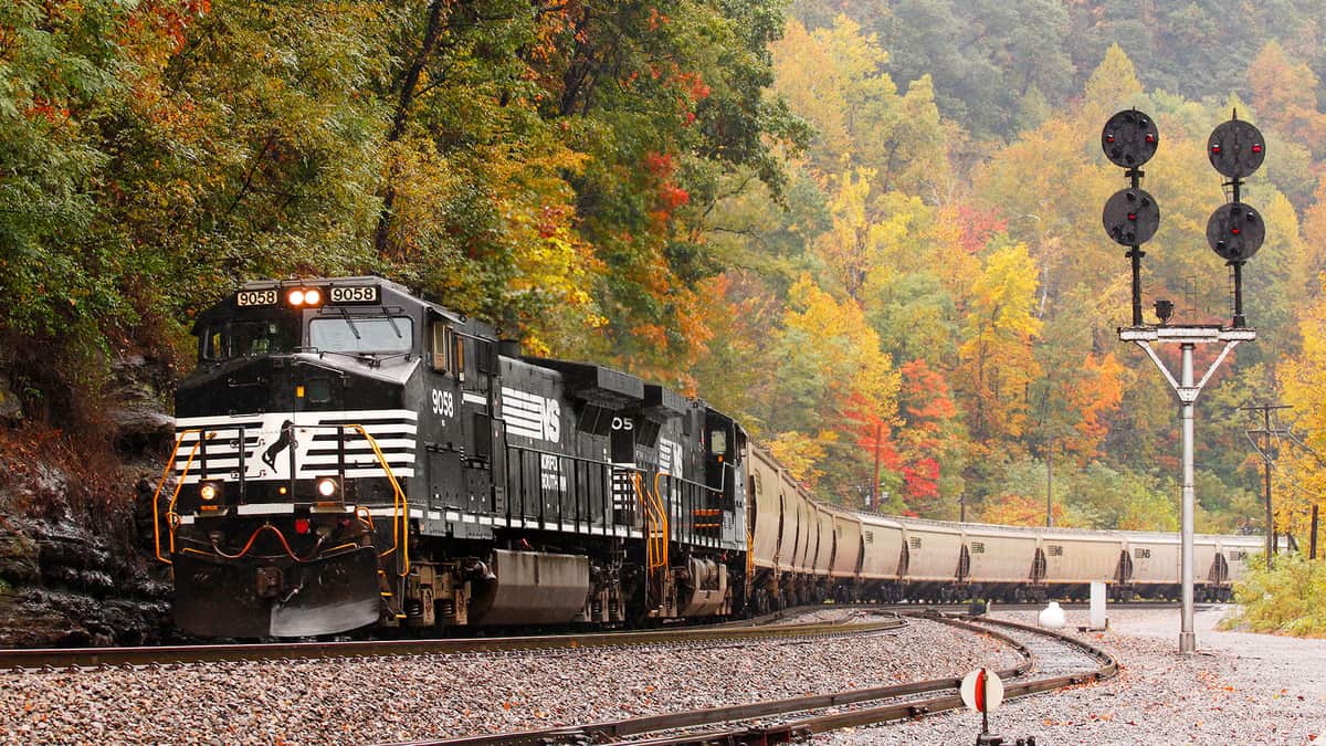 A photograph of a Norfolk Southern train passing by some autumn trees.