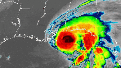Satellite animation of Hurricane Sally in the Gulf of Mexico.