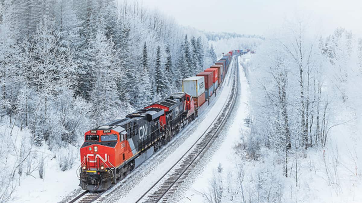 A photograph of a CN train passing through a snow-filled forest.