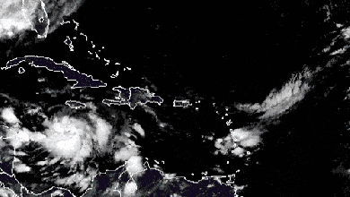 Satellite animation of Tropical Storm Delta.