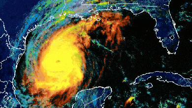 Satellite animation of Hurricane Delta in the central Gulf of Mexico.