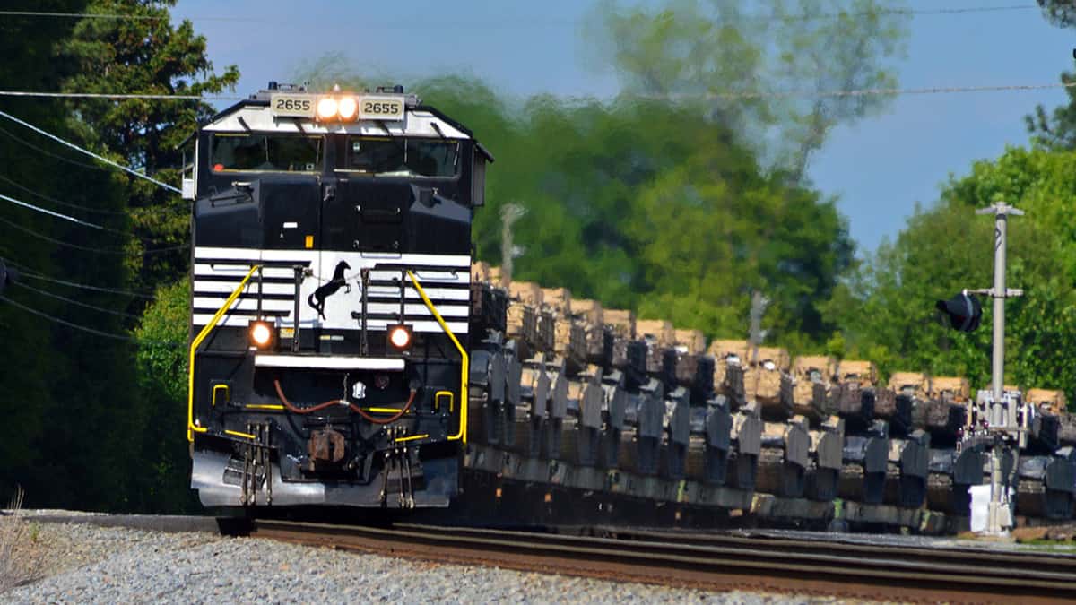 A photograph of a Norfolk Southern train traveling through a forest.