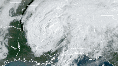 Satellite animation of Tropical Depression Delta over the lower Mississippi Valley.