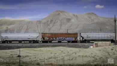 A photograph of grain hopper cars traveling on some railroad track. There is a mountain range in the distance.