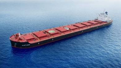 dry bulk ship