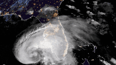 Satellite animation of Tropical Storm Eta in the Gulf of Mexico.