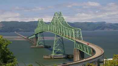 Aerial view of the Astoria-Megler Bridge.
