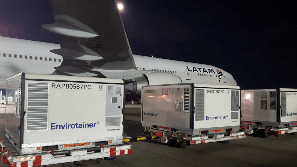 Large insulated containers wait on carts to be loaded on a cargo jet at night.